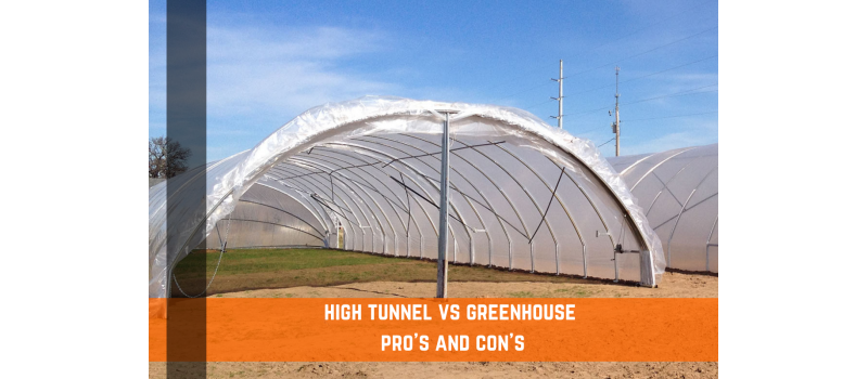 High Tunnel vs. Greenhouse - Pros and Cons of Each